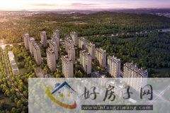 晋陵文禧