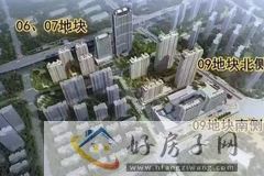 新城牡丹世纪之光
