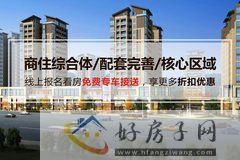 三汇人和逸景商铺
