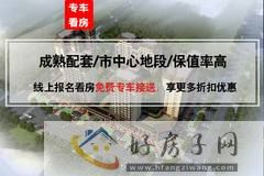 九洲又一城