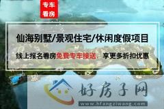 铂金海岸
