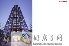 天赋乐宜