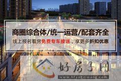 卓信金楠天街商铺