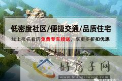 未来香江