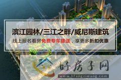 树高威尼斯城