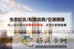 东原观天下