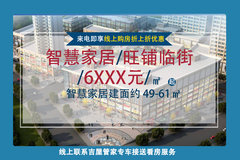 东城国际智慧家居建材城