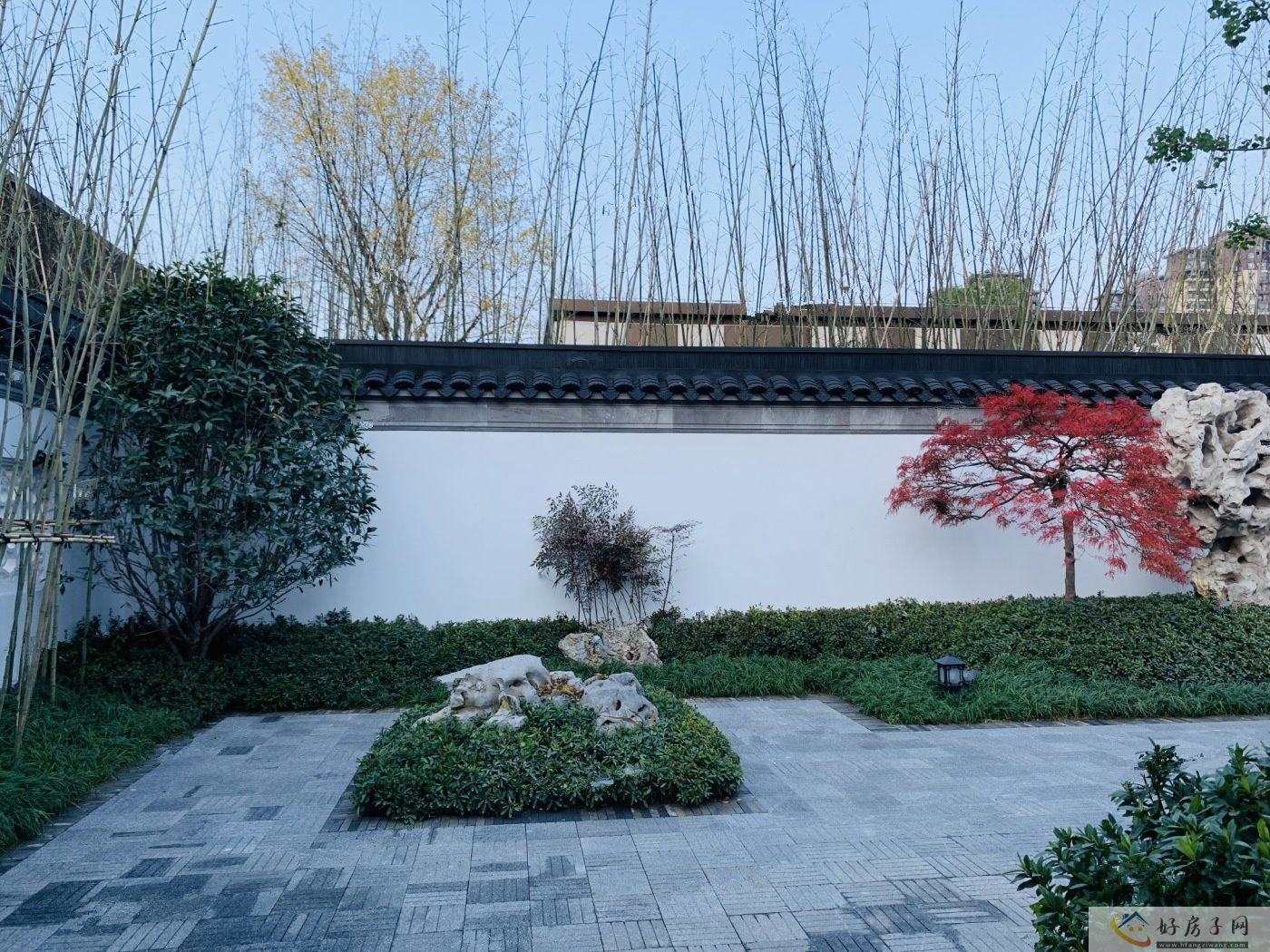 实景图