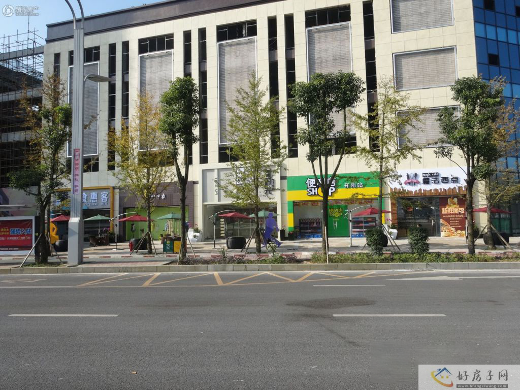 实景图