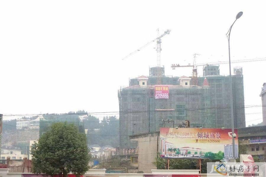 实景图