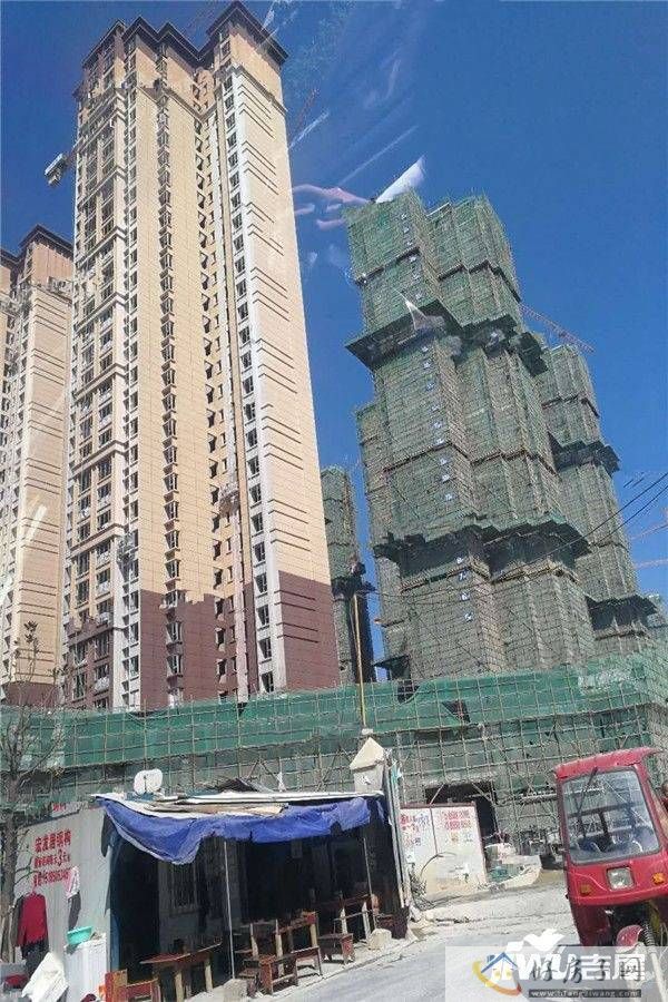 实景图