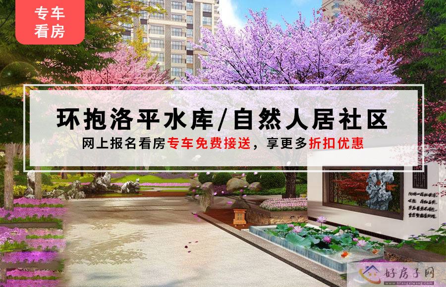 效果图