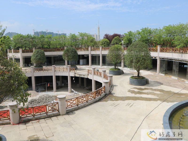 实景图
