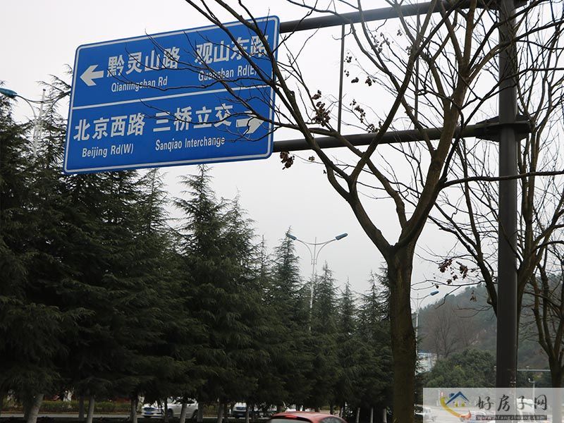 实景图