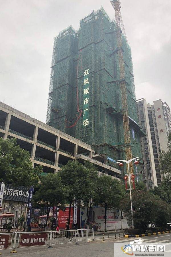 实景图