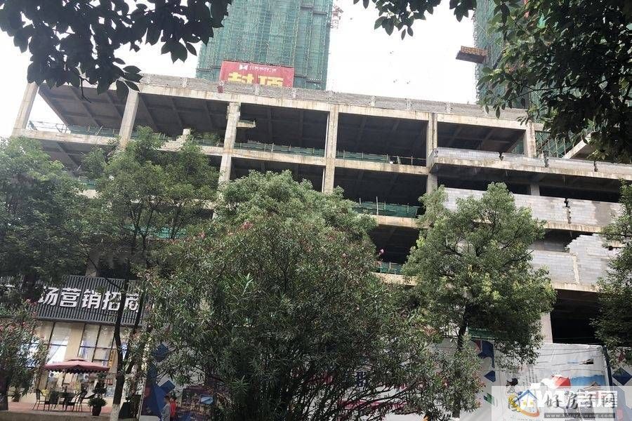 实景图