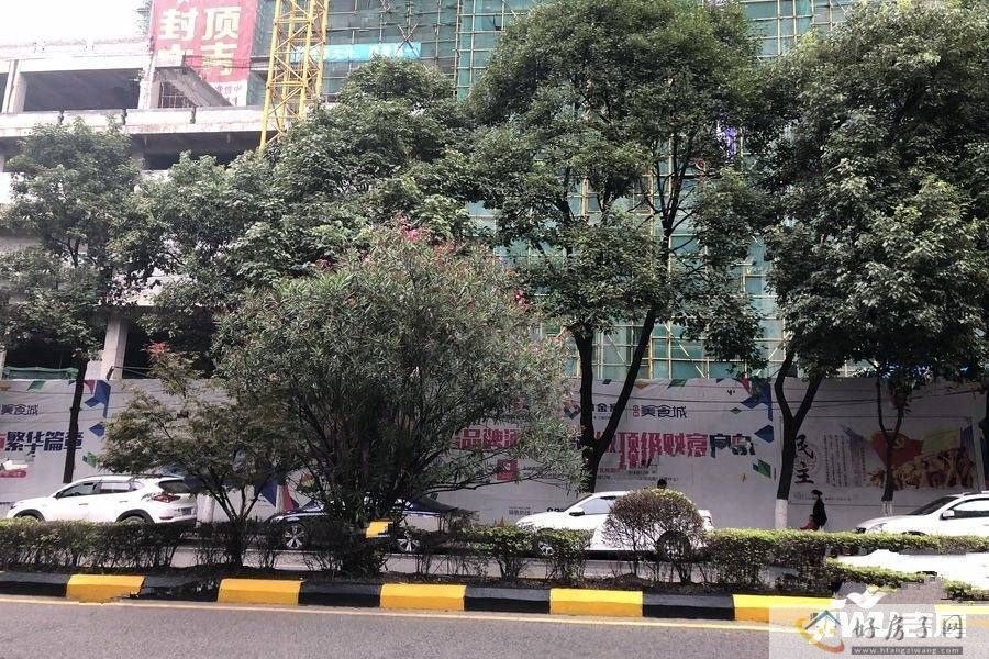 实景图