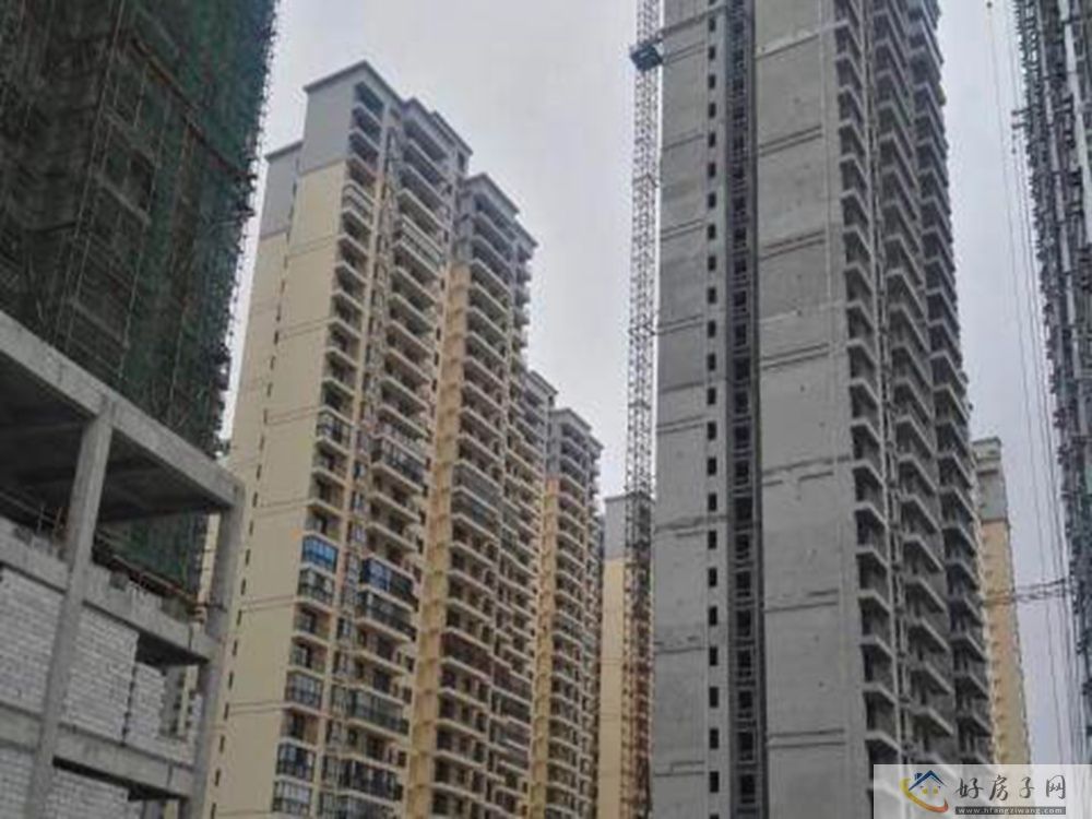 实景图