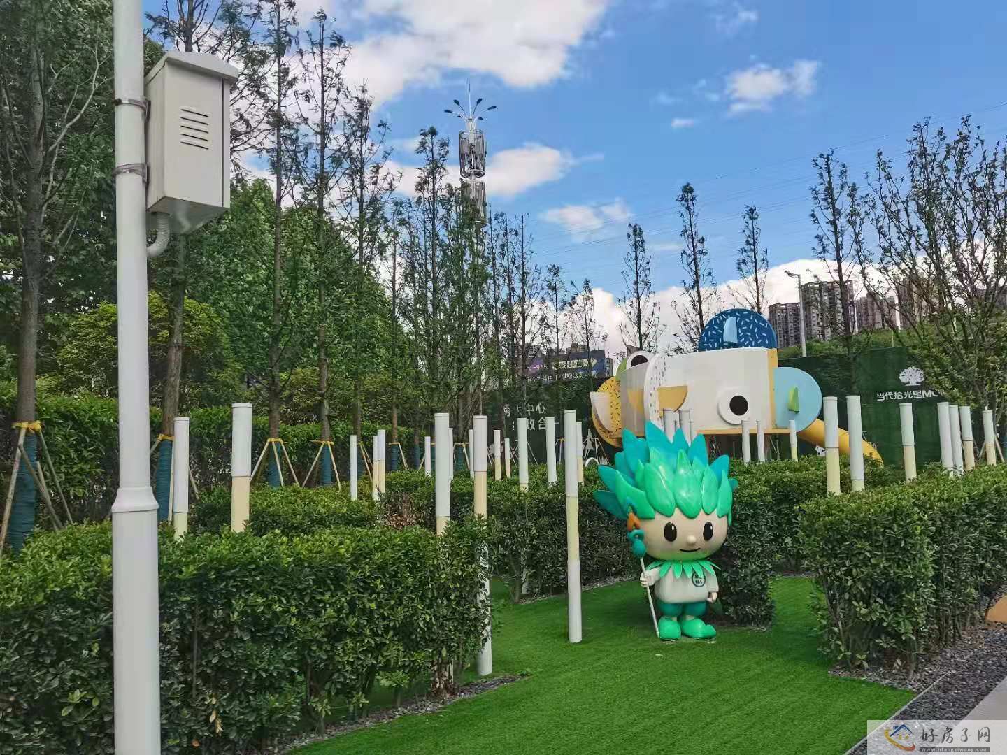 实景图