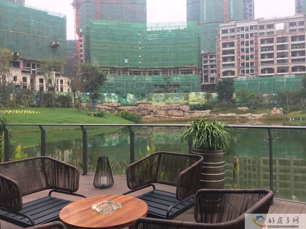 实景图