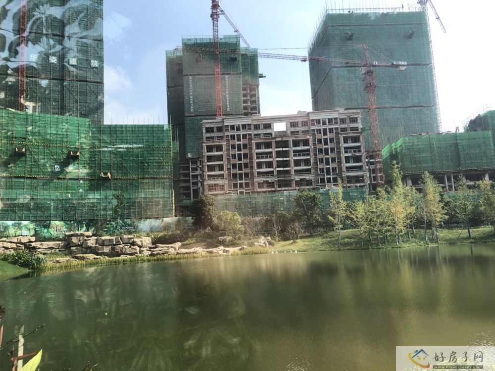 实景图