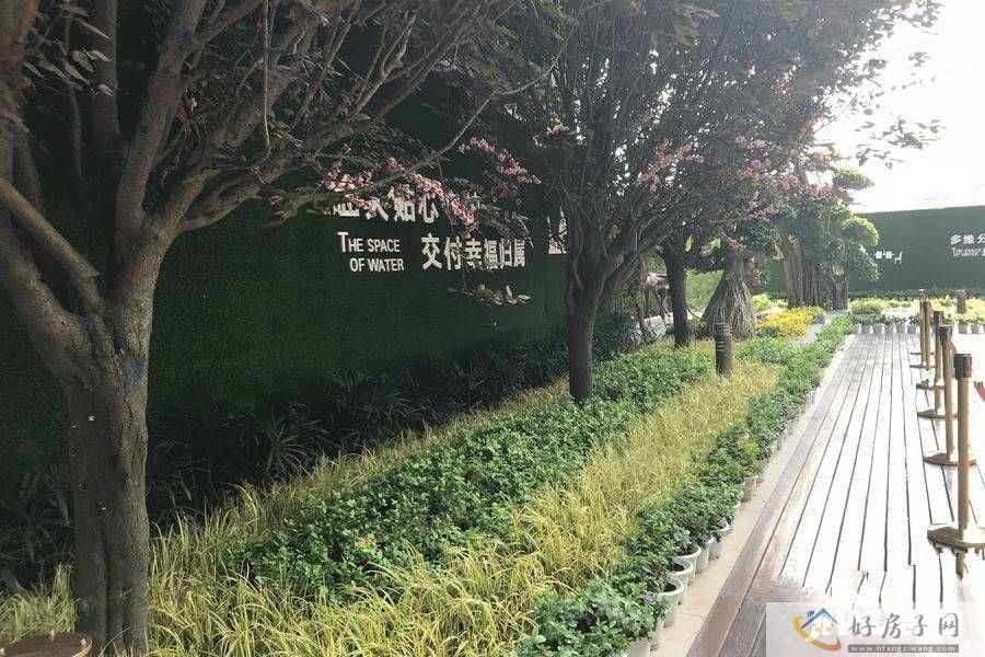 实景图