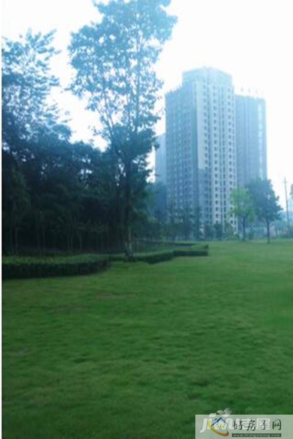 实景图