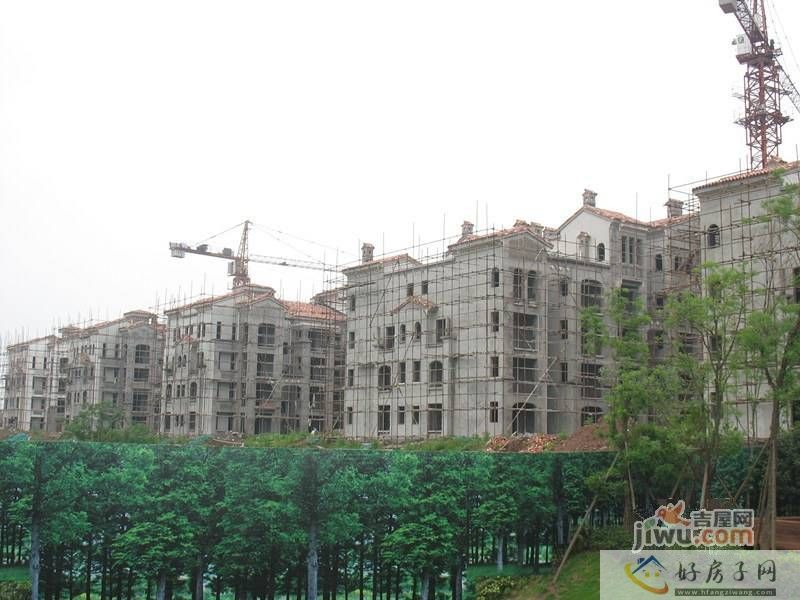 实景图