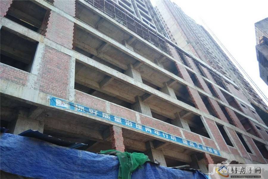 实景图