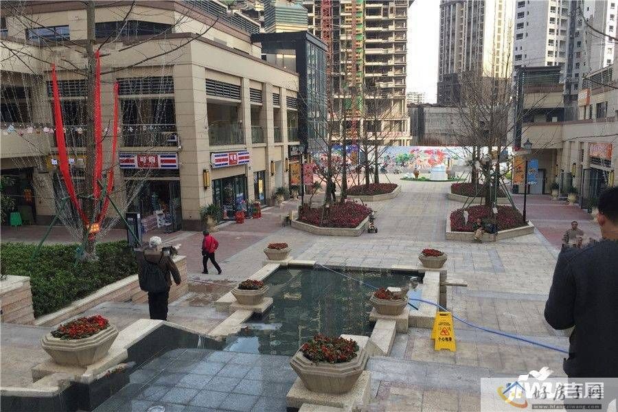 实景图