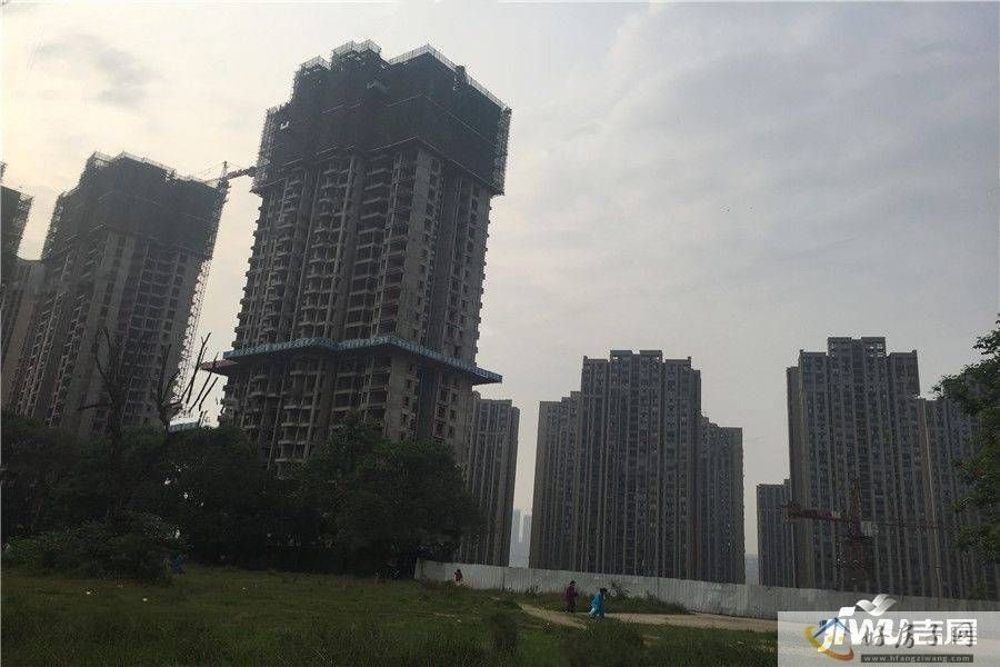 实景图