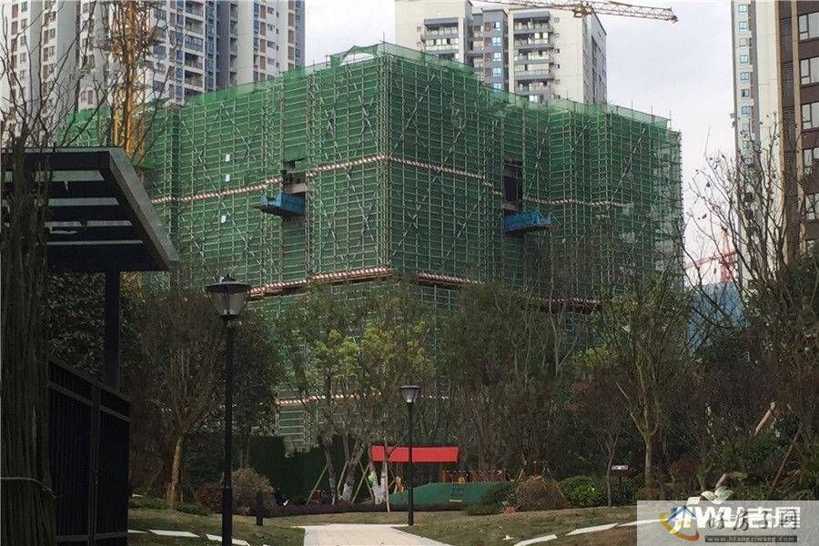 实景图