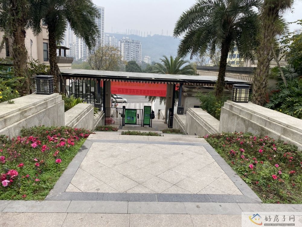 实景图