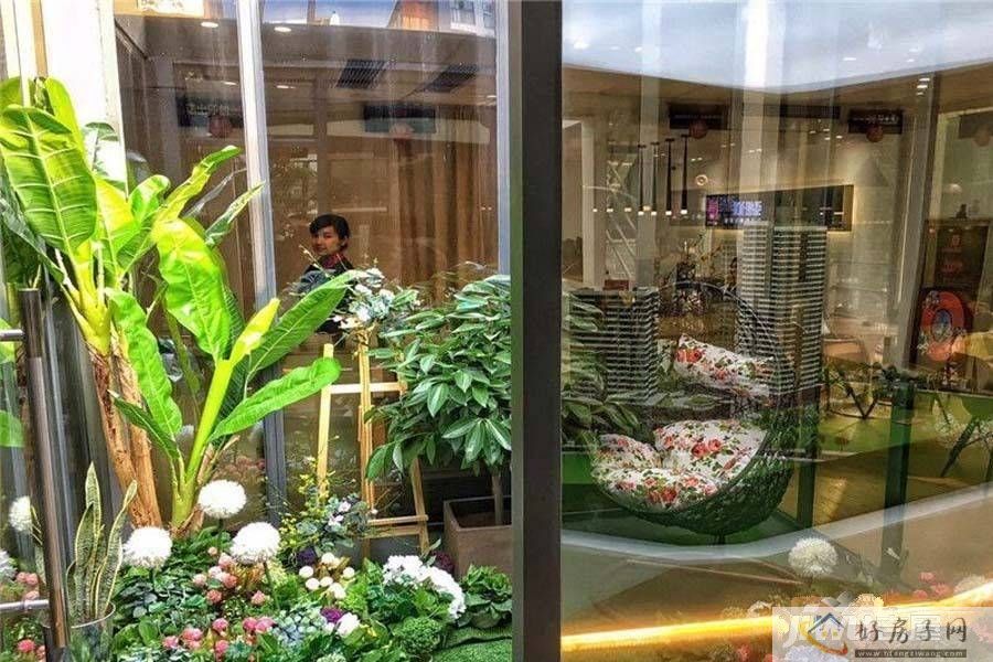 实景图