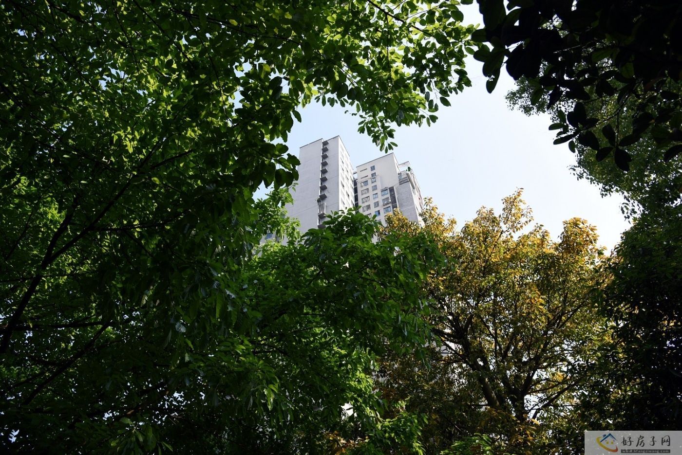 实景图