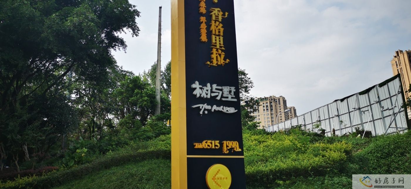 实景图