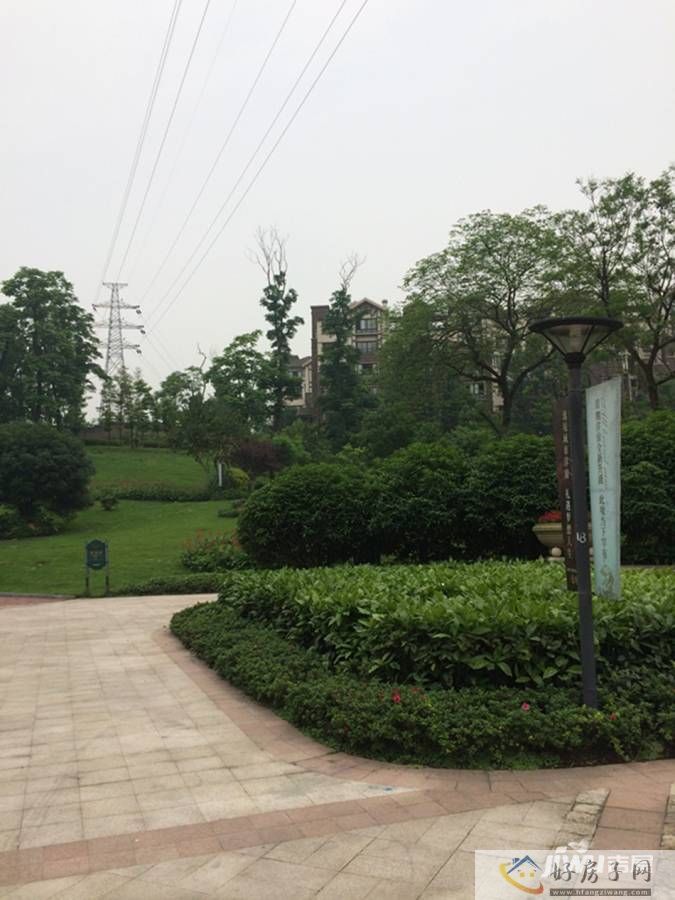实景图