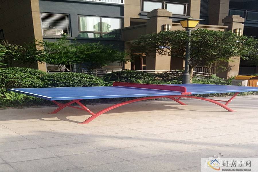 实景图