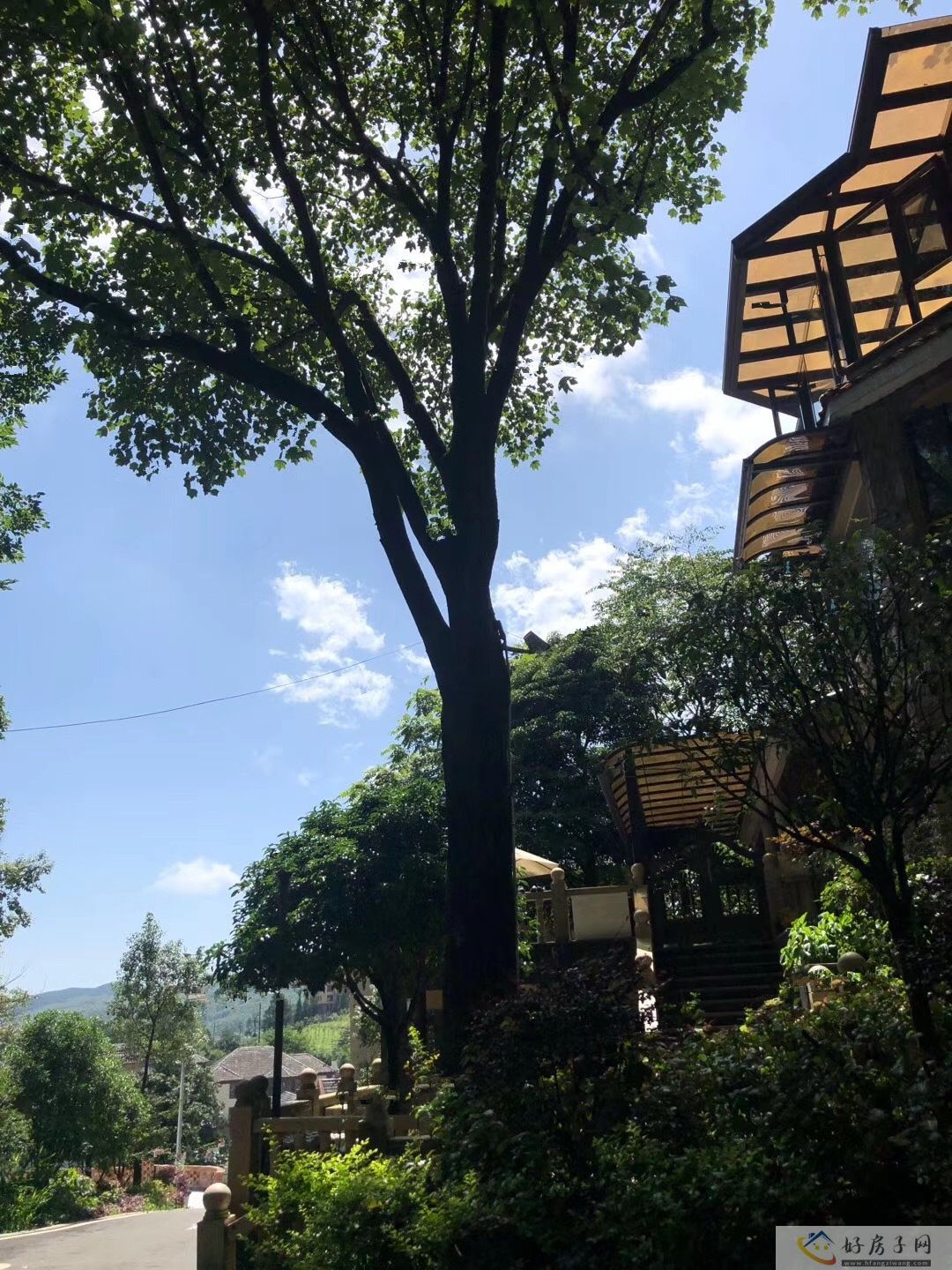 实景图