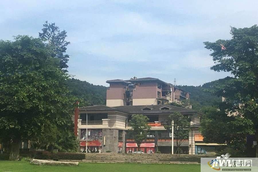实景图