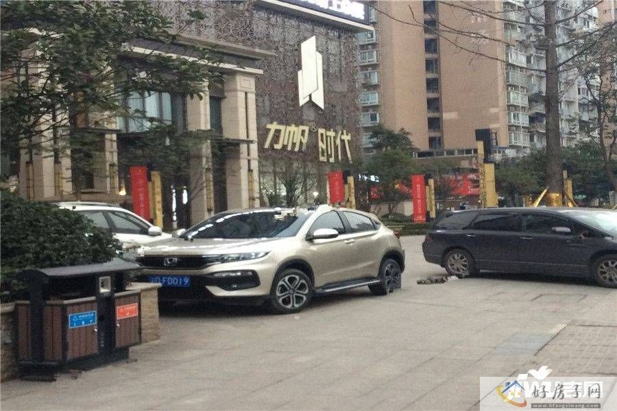 实景图