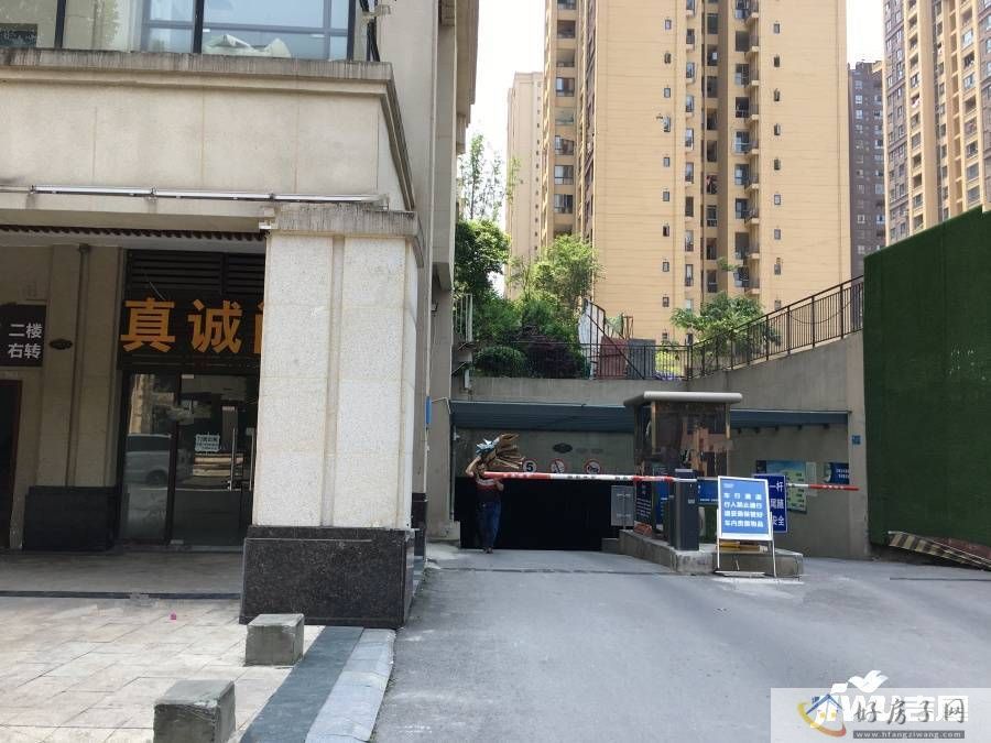 实景图