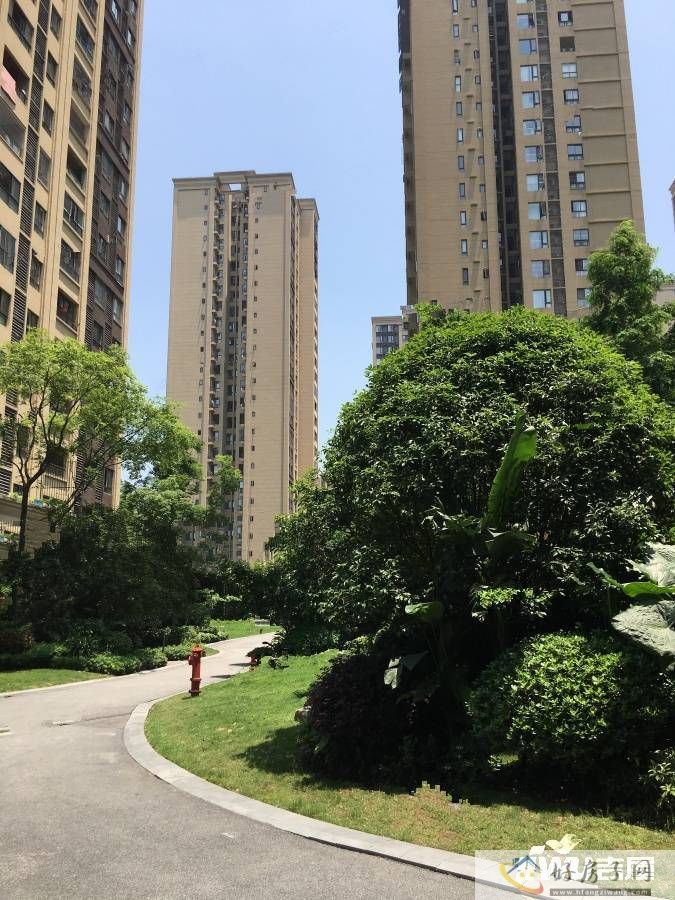 实景图