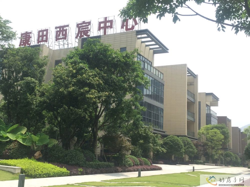 效果图
