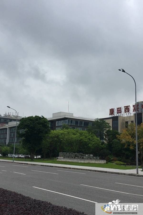 实景图