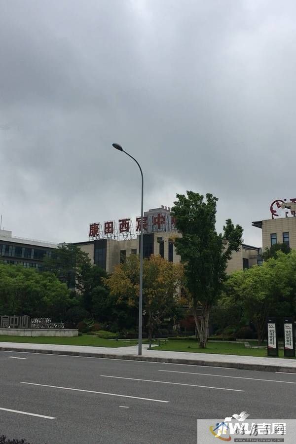 实景图