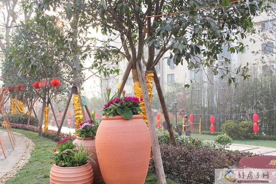 实景图