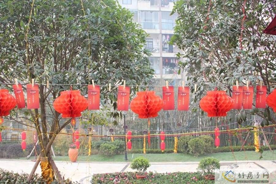 实景图