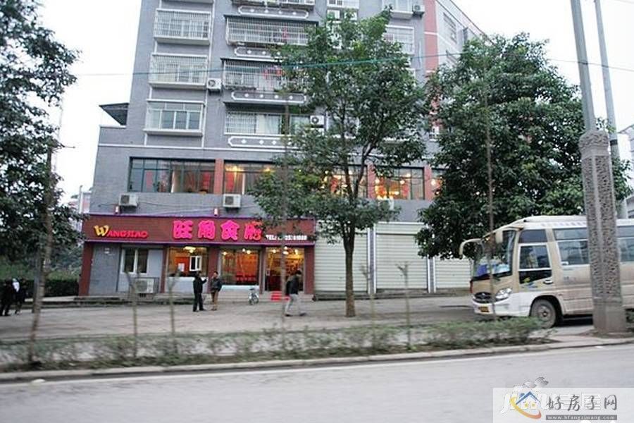 实景图