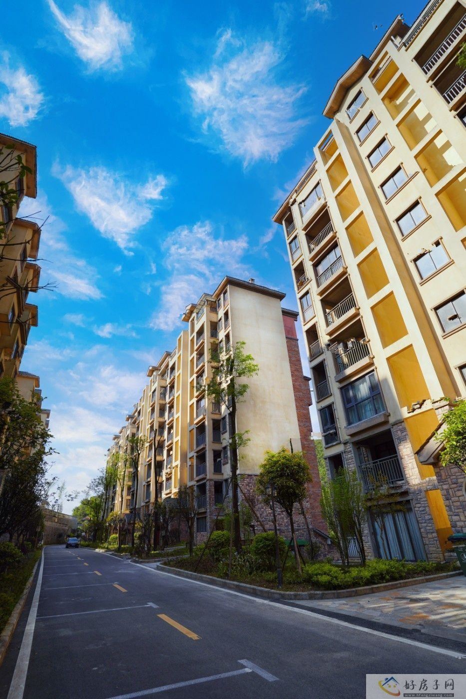 实景图